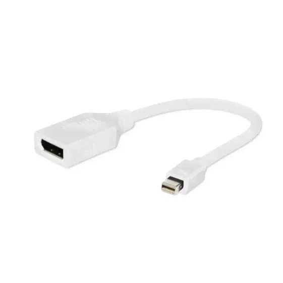 GEMBIRD DPF001W DisplayPort To DVI Adapter